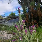 Alcumissu فيلة *