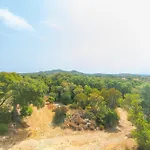 فيلة Alcumissu *
