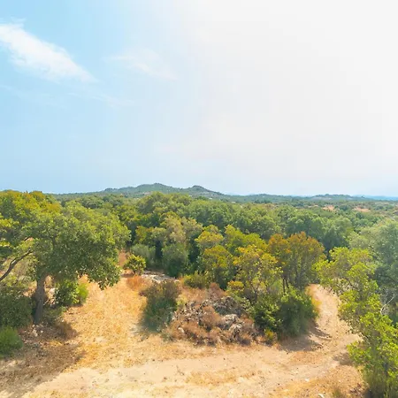 Alcumissu Calangianus